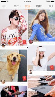 小八卦最新爆料视频大全,揭秘娱乐圈幕后真相大揭秘